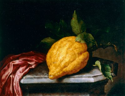 Citron by Bartolomeo Bimbi